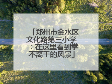 郑州市金水区文化路第三小学：在这里看到拳不离手的风景